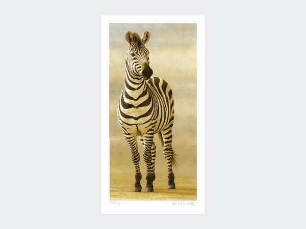 Zebra of Ngorongoro | Limited Edition Art Print Zebra of Ngorongoro | Limited Edition Art Print