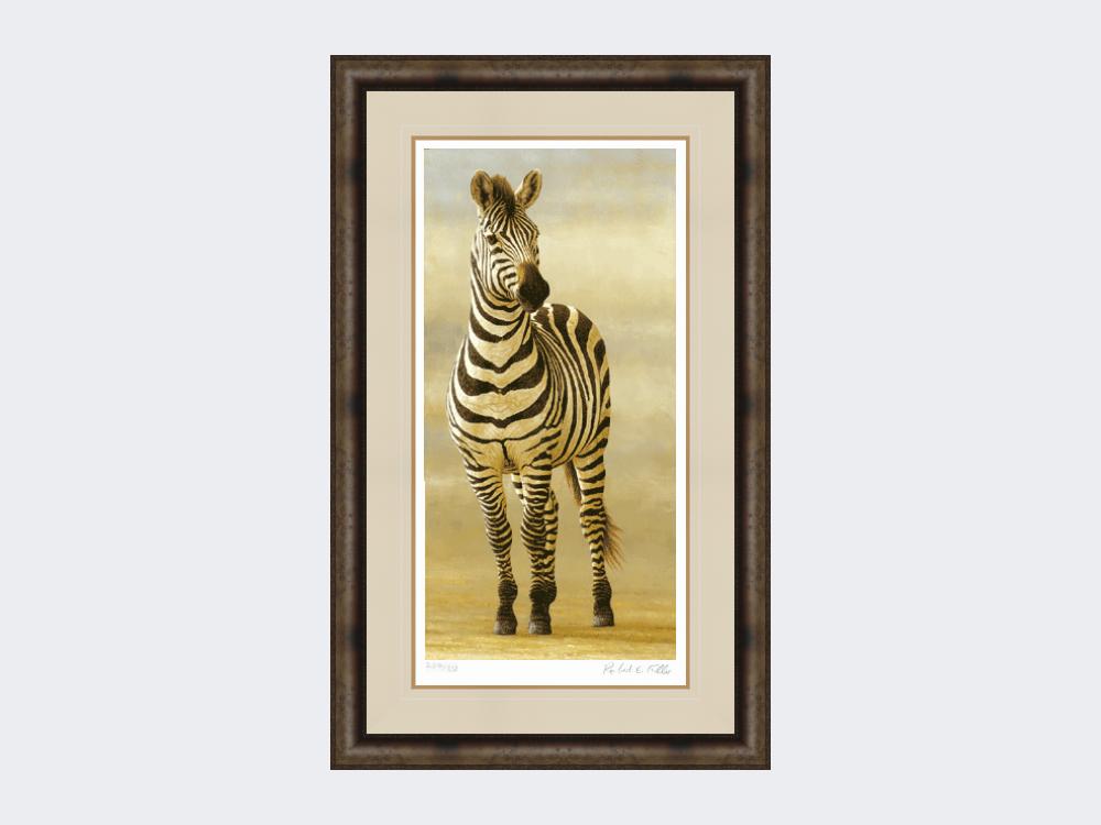 Zebra-of-Ngorongoro-Medium-Dark-Grey-Burr