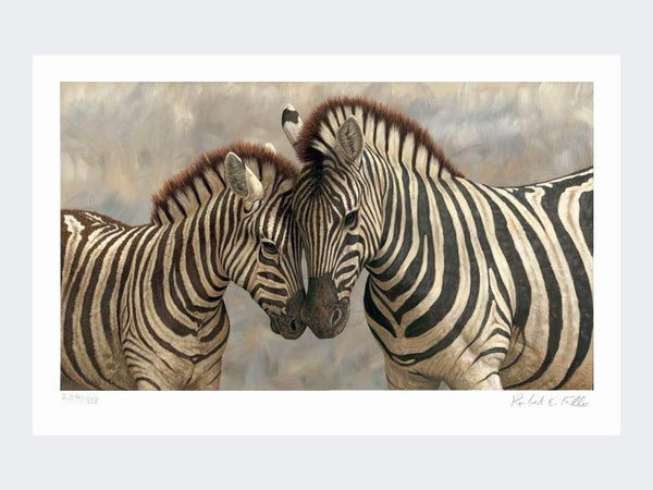 Zebra with Young | Limited Edition Art Print Zebra with Young | Limited Edition Art Print