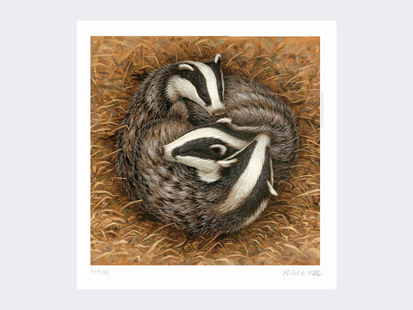 Badger Sleeping Circle | Limited Edition Art Print Badger Sleeping Circle | Limited Edition Art Print
