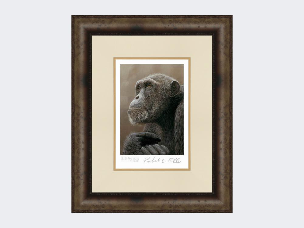 chimp-of-mahale-print-Medium-Dark-Grey-Burr