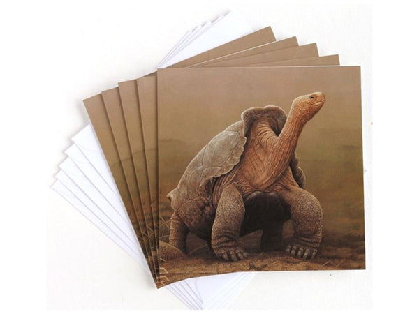 Giant Tortoise | Pack of 5 Christmas cards Giant Tortoise | Pack of 5 Christmas cards