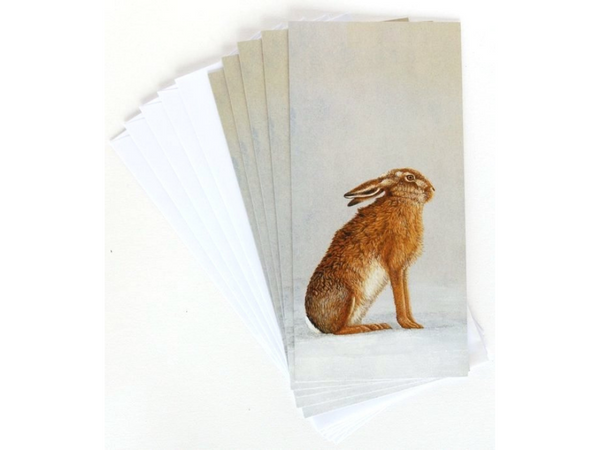 Hare at Peace | Pack of 5 Christmas cards Hare at Peace | Pack of 5 Christmas cards