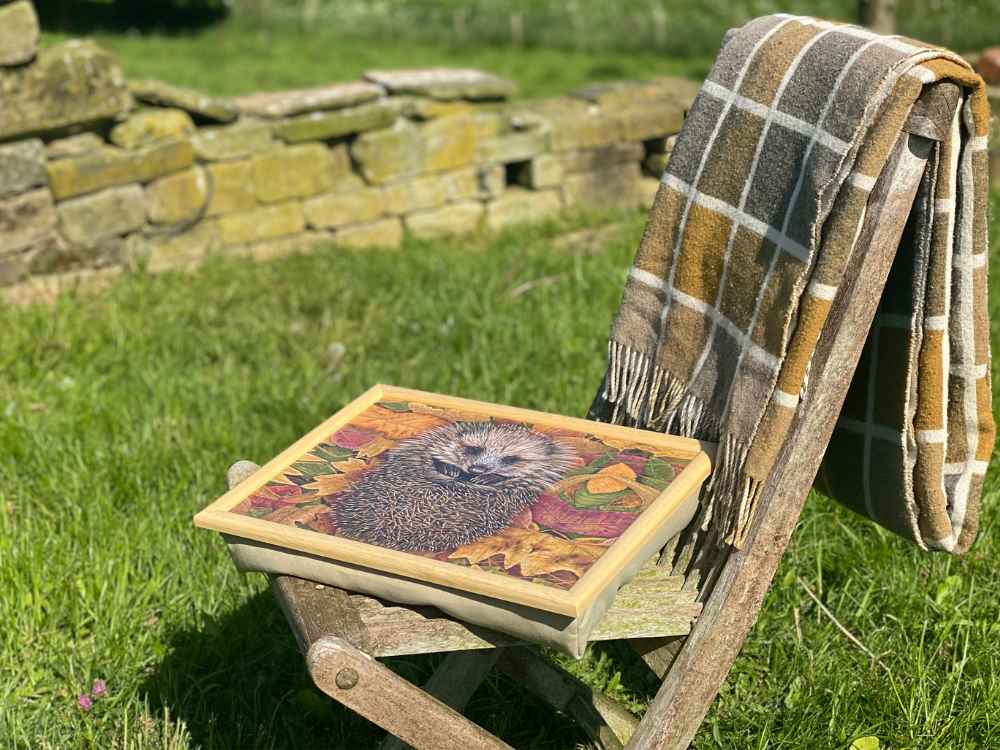 Hedgehog laptray | Luxury bean bag cushioning