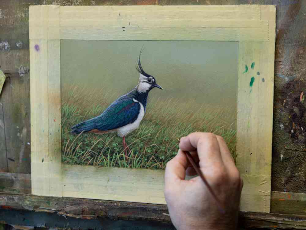 SOLD Lapwing | Original Painting