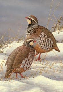 Schwanzmeise auf Weidenkätzchen | 5er-Pack Weihnachtskarten