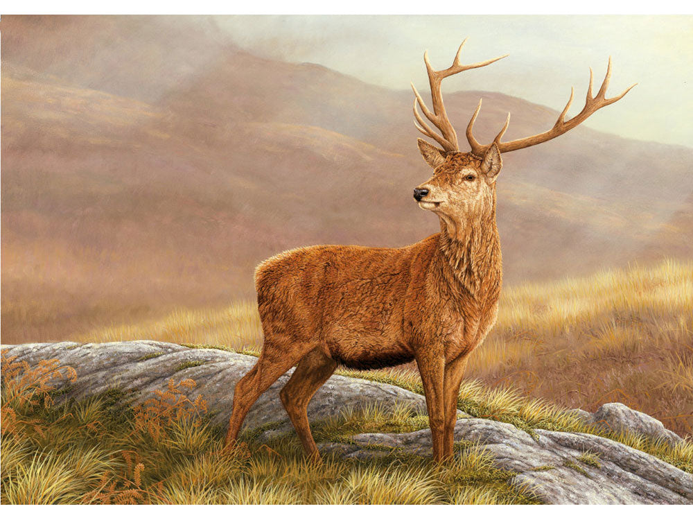 red-stag-christmas-1