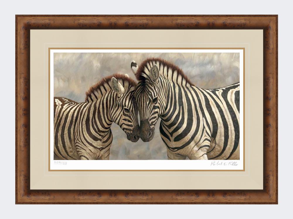 zebra-medium-walnutt-burr