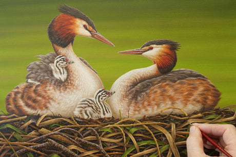 Paintings & films inspired by bird nests