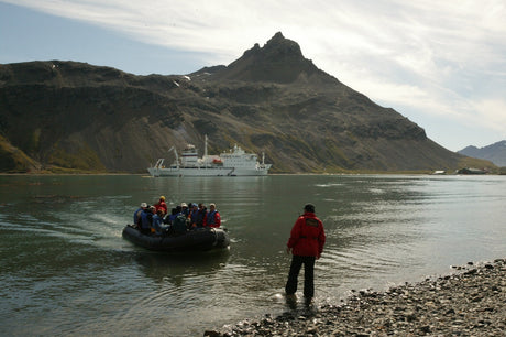 Travel | Sub-Antarctic Adventures in Inspire Colourful Art Collection