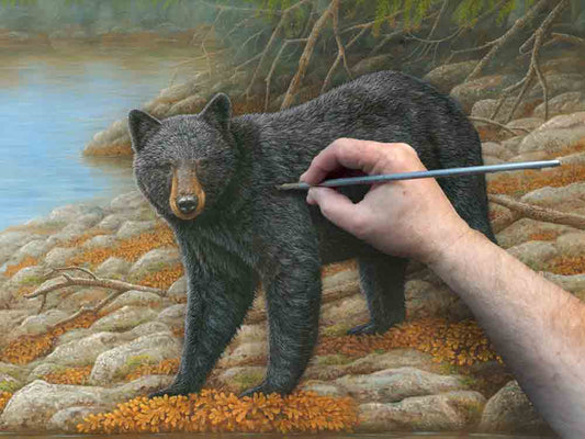 Film | How a Painting of Black Bears was Inspired by a Visit to Canada | My Wildlife Art