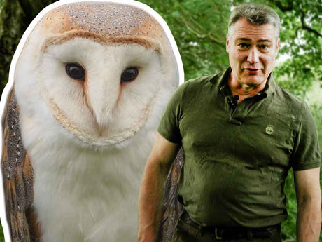 Film | I Go To Help A Barn Owl Family, Then Find The One Thing I Dreaded | Gylfie & Dryer