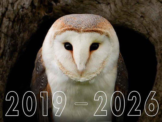 Film | My Tribute to Dryer: A Barn Owl Rescue That Had the Best Life | Gylfie & Dryer