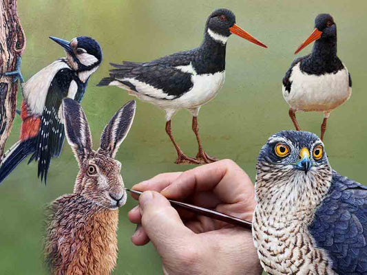 Film | Final Touches Before Exhibition | Wildlife Art