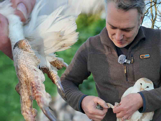 Film | The Barn Owl Was Unable To Hunt | Rescued & Returned to the Wild