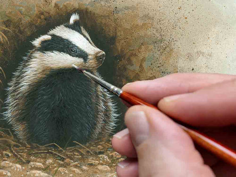 Film | Portrait of a Rescued Badger Cub | Wildlife Art