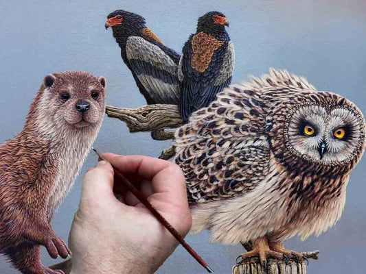 Film | Adding the Final Touches🖌️ To A New Collection Of Paintings | Wildlife Art