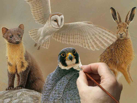Film | How Detailed Brushstrokes Bring My Paintings to Life 🎨| Wildlife Art