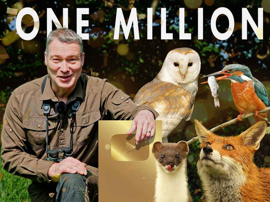 Film | One Million Subscriber Special: The Stories That Built This Channel