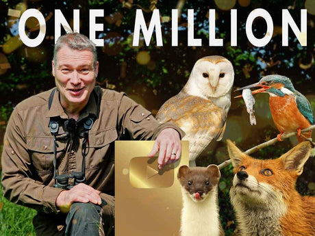 Film | One Million Subscriber Special: The Stories That Built This Channel