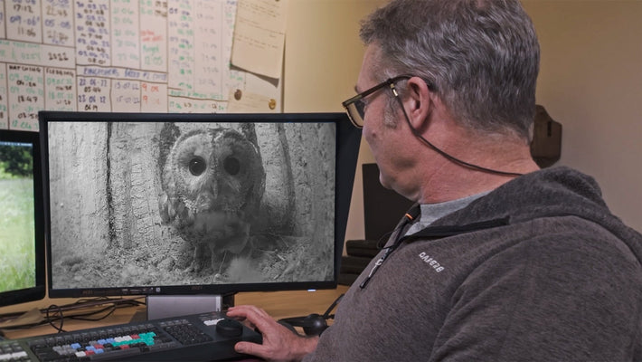 Film | Who Is Luna the Tawny Owl's New Partner? | Bomber & Luna