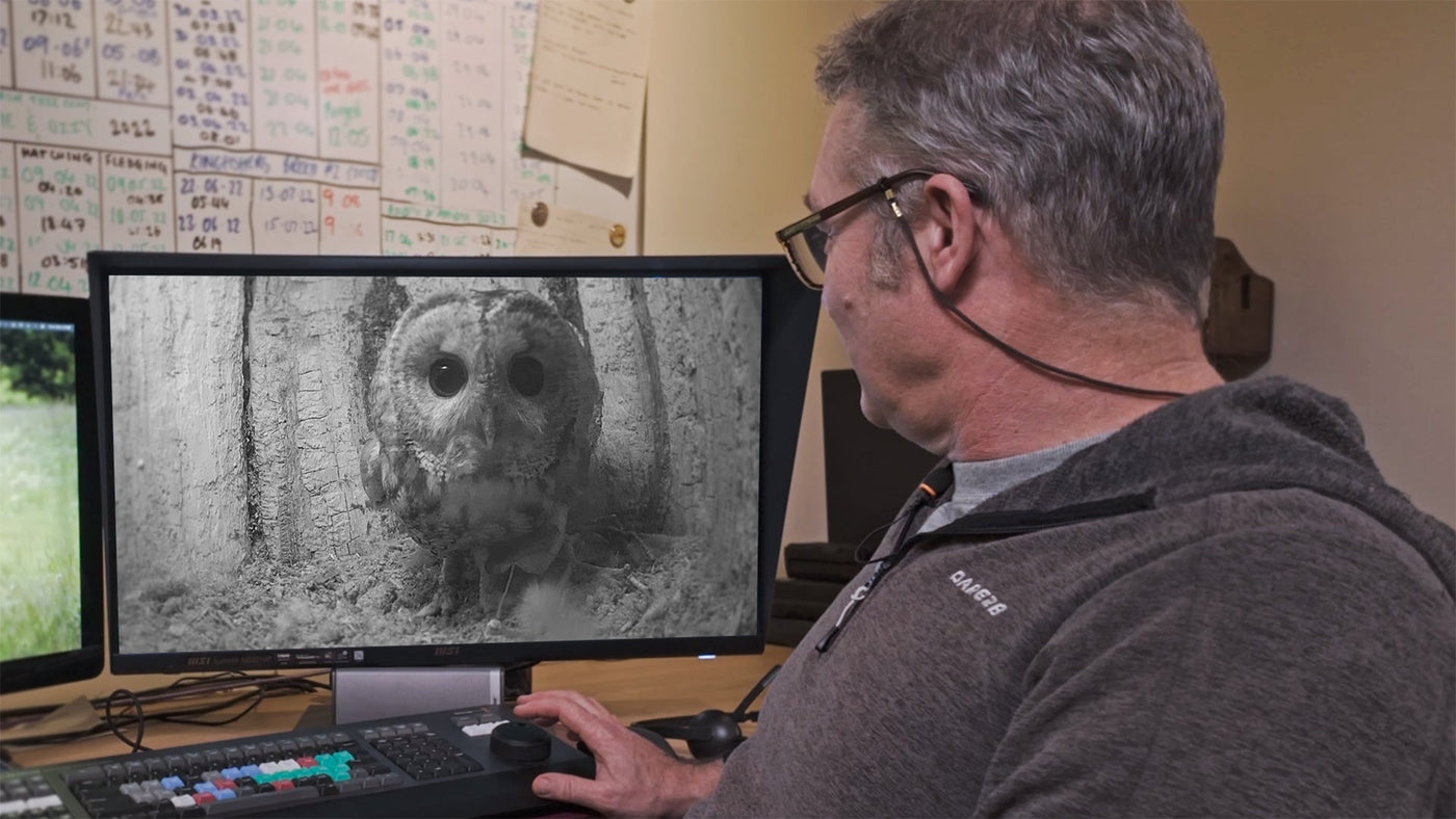 Film | Who Is Luna the Tawny Owl's New Partner? | Bomber & Luna