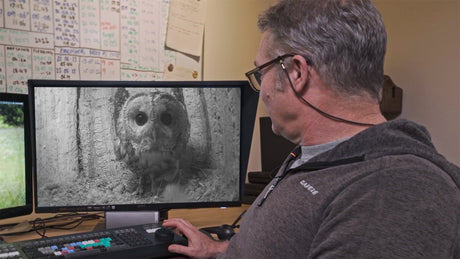 Film | Who Is Luna the Tawny Owl's New Partner? | Bomber & Luna