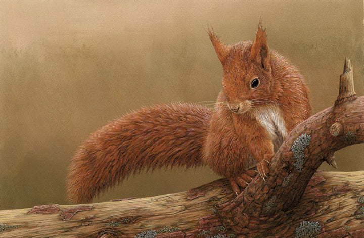 7 Red Squirrel Paintings That Really Show Their Personality