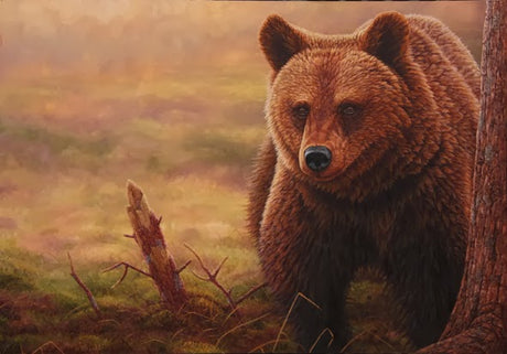 A bear for Pudsey