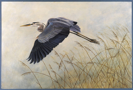 Quest to find a heronry ends in city park