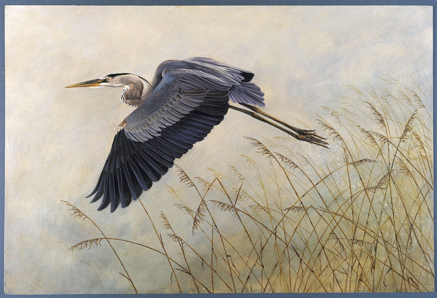 Quest to find a heronry ends in city park