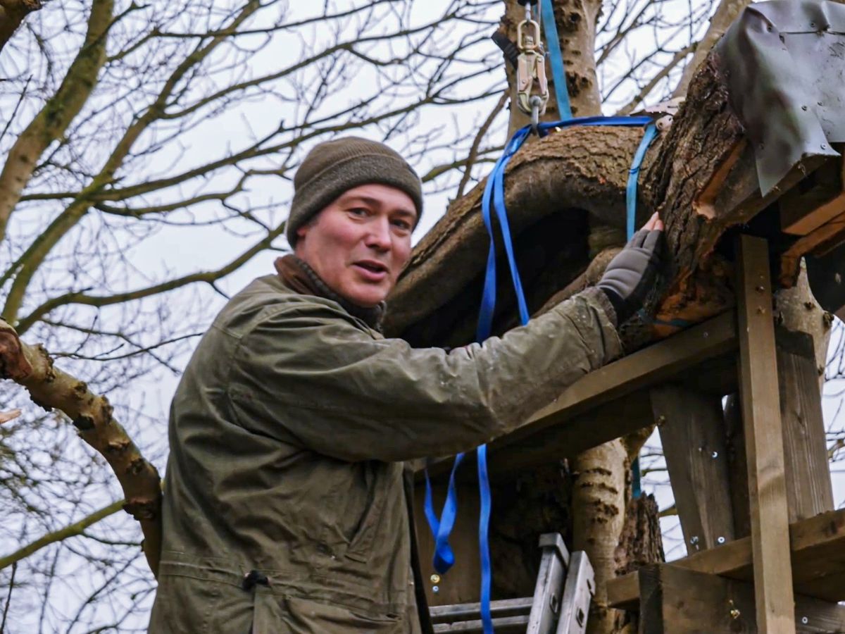 Film | I Built Nest Boxes for Birds & Watched Them Move In | Wildlife ...