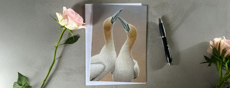 Trade - Individual greetings cards