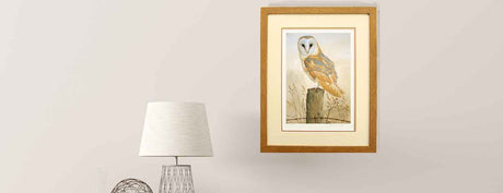 Gifts for owl lovers