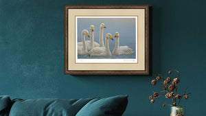 Water birds