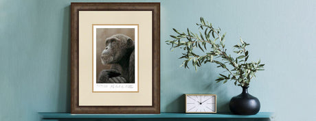 Limited edition prints