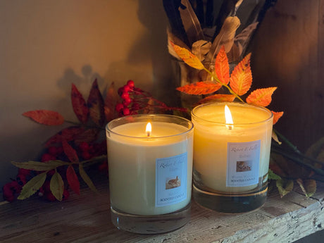 Candles & reed diffusers