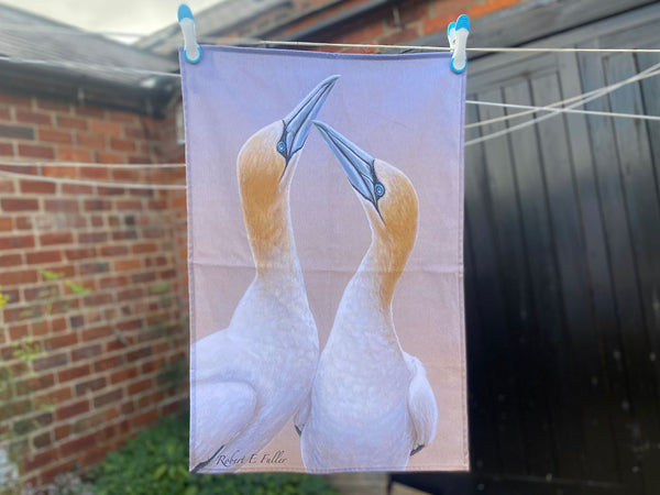 Gannets Tea Towel