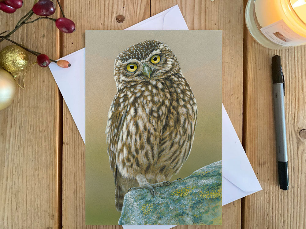 Inquisitive Little Owl | Pack of 5 Christmas cards