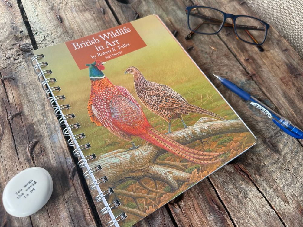 Agenda spirale A5 2025