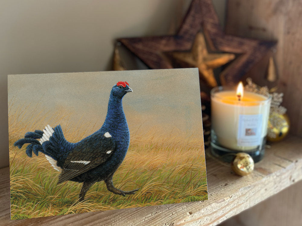 Black Grouse | Pack of 5 Christmas cards