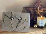Long Tailed Tit on Pussy Willow | Pack of 5 Christmas cards