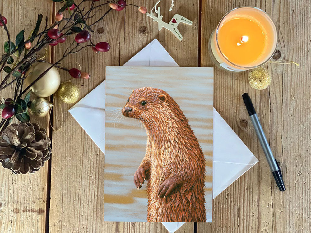 Otter portrait | Pack of 5 Christmas cards