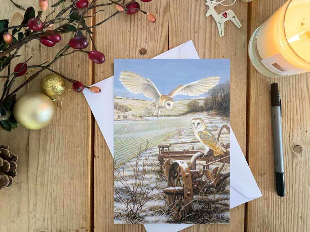 Barn Owl at Thixendale | Pack of 5 Christmas cards