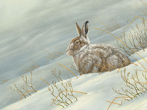 Lièvre variable dans la neige | Carte individuelle | Vers de Noël
