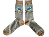 Blue tit | Luxury socks