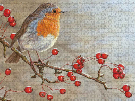 Robin | Jigsaw puzzle | 1000 piece
