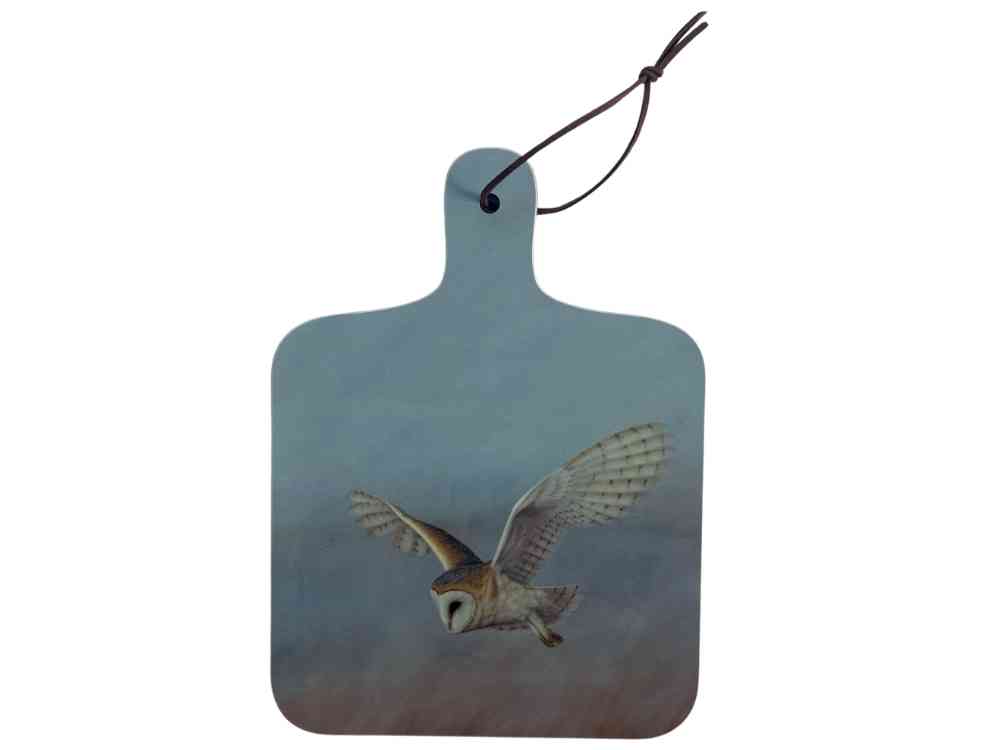 Barn owl chopping board set of 2