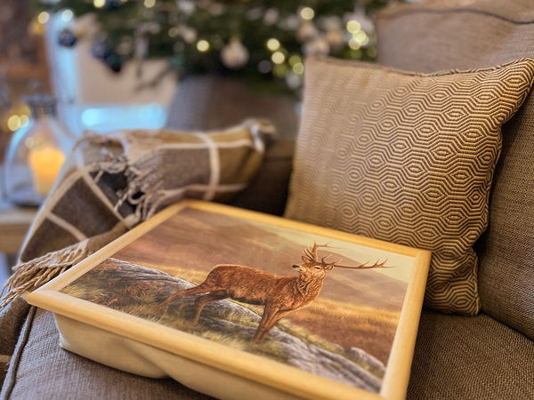 Plateau pour ordinateur portable Red Stag | Coussin de luxe pour pouf