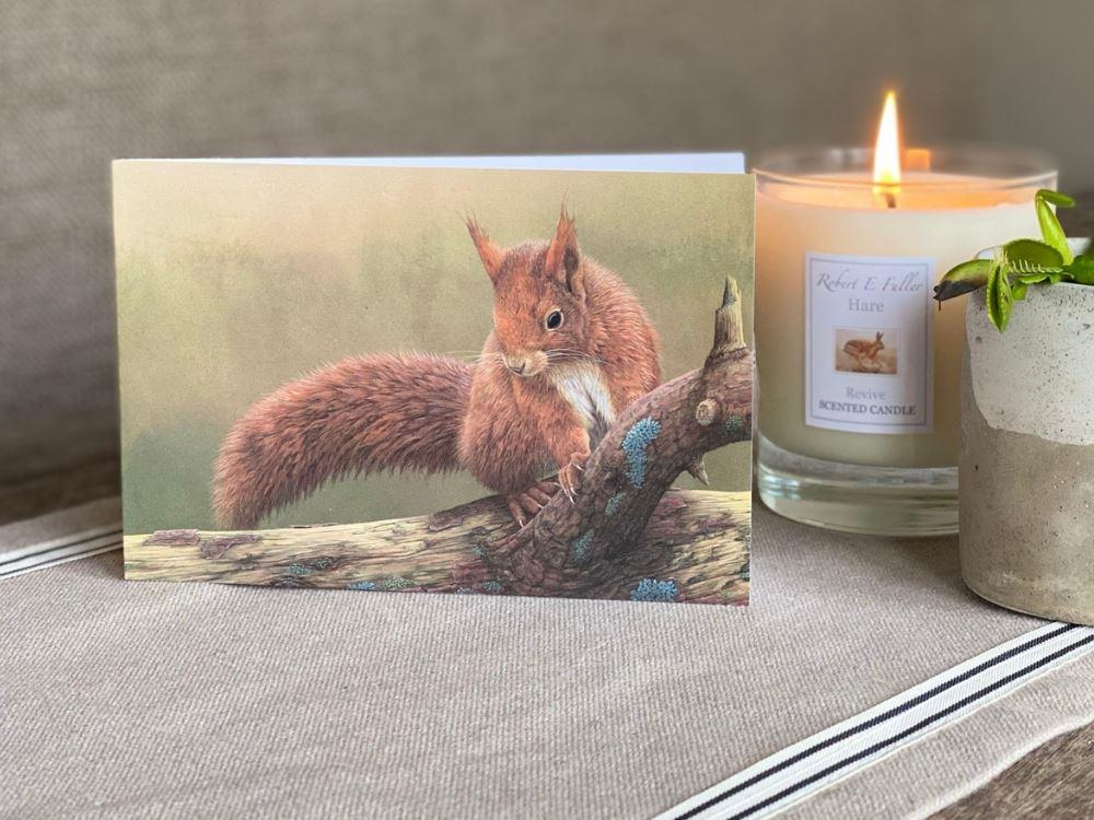 Squirrel of Formby | Pack of 5 small blank greetings cards